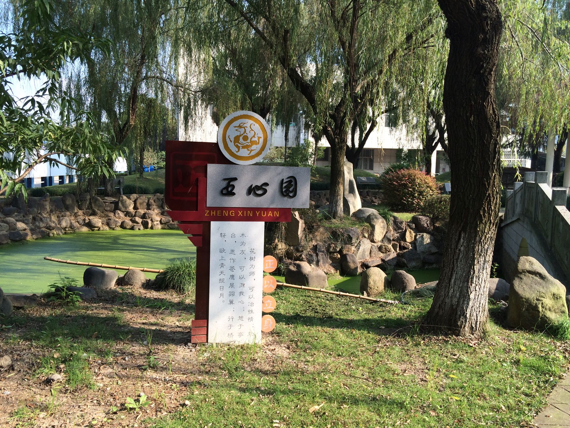 道路文化