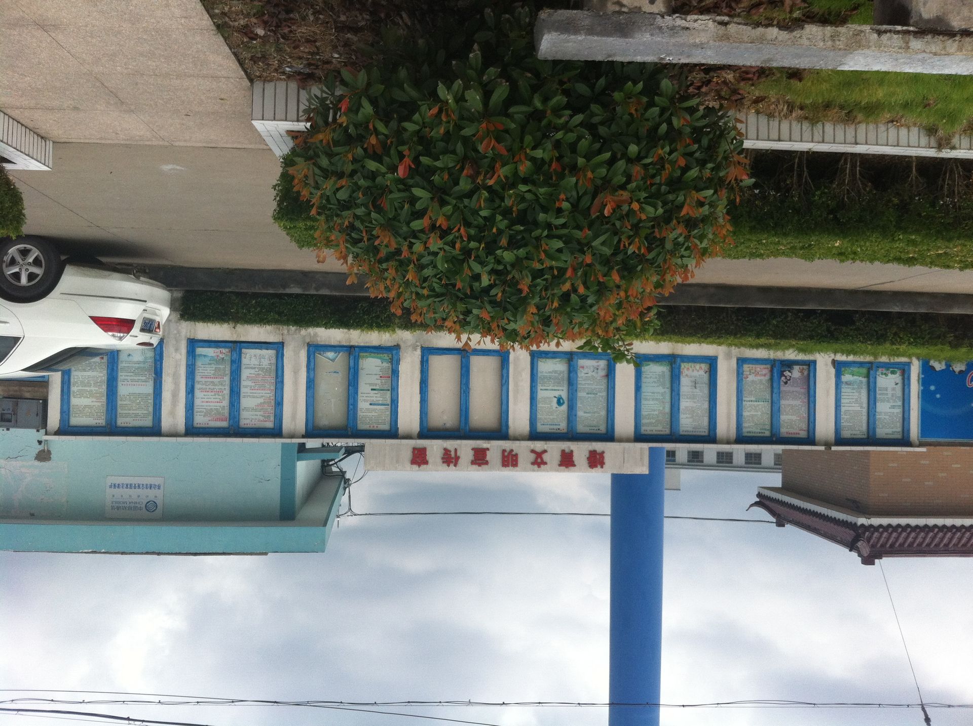 宣传窗